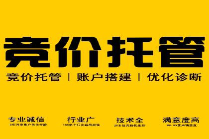 360信息流广告的转化路径：从曝光到成交的案例分析